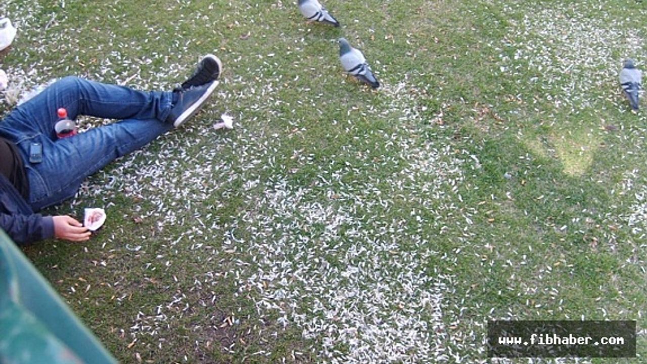 Eskişehir'deki bu eşeklerden Nevşehir'de çok var ...