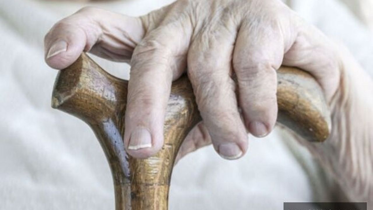 65 yaş üstü vatandaşlara seyahat için izin şartı getirildi!