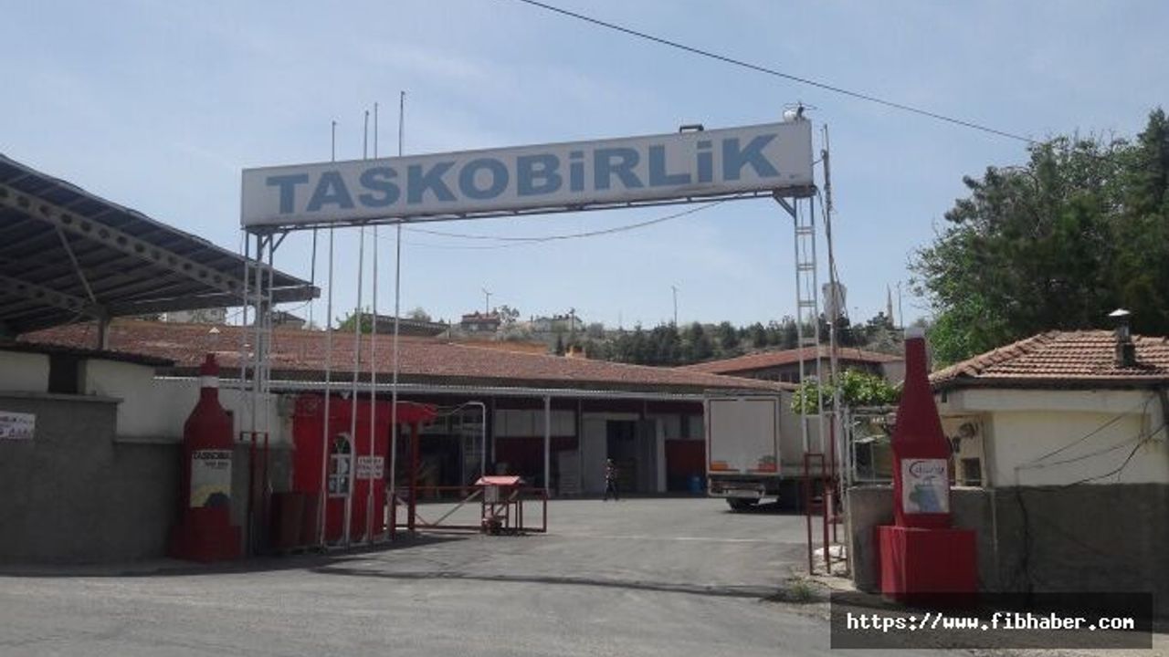 Nevşehir'deki eski şarap fabrikası icradan satışa çıkarıldı