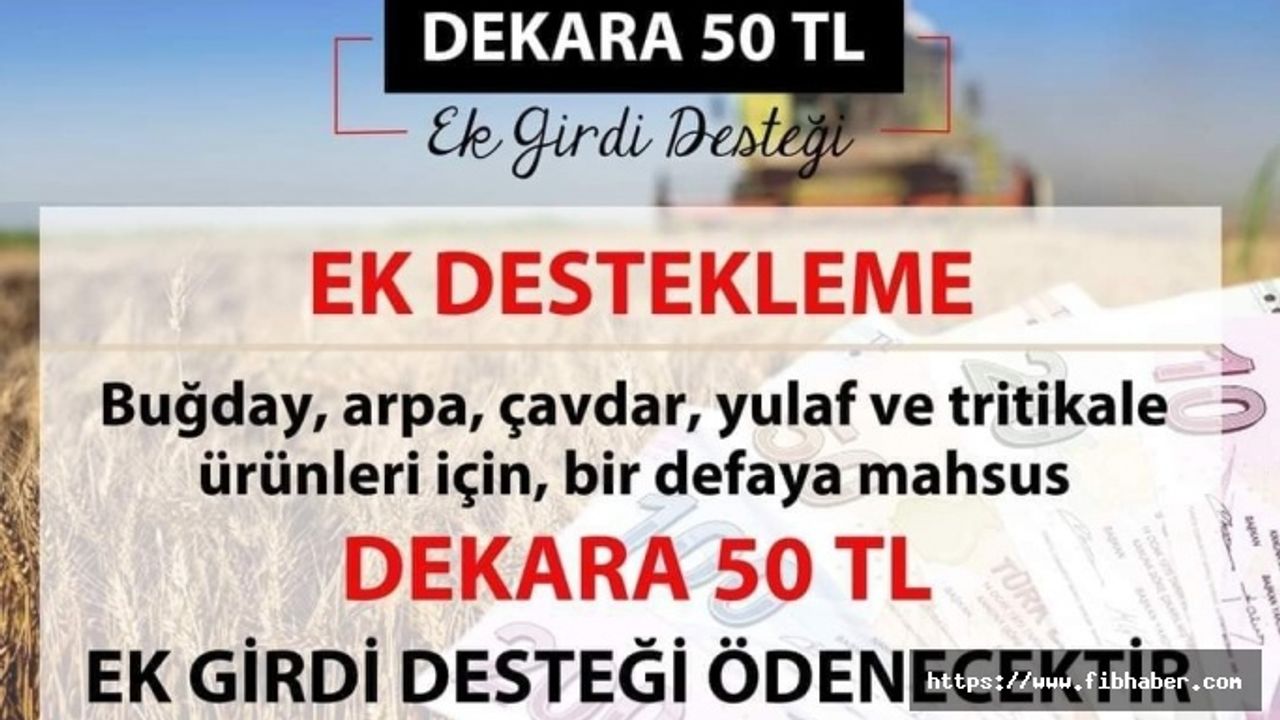 Çiftçiye dekar başına 50 lira ek girdi desteği...