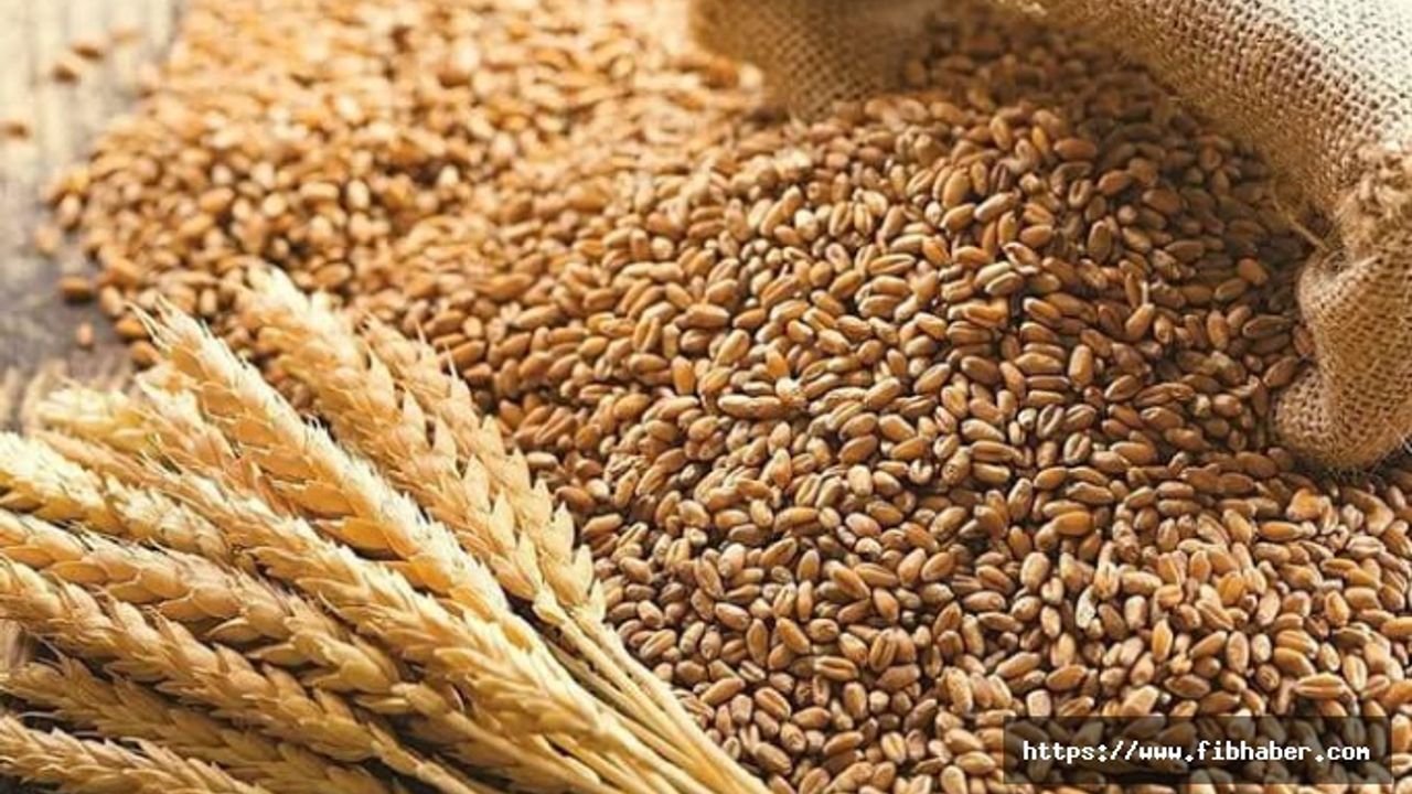 2022 buğday ve arpa alım fiyatı açıklandı