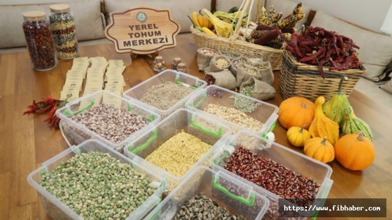 Eskişehir Türkiye'nin dört bir yanına yerel tohum dağıtacak
