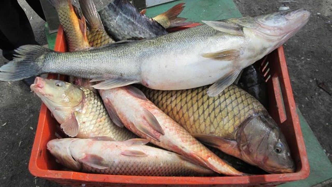 Nevşehir iç sularda balık avı yasağı başladı