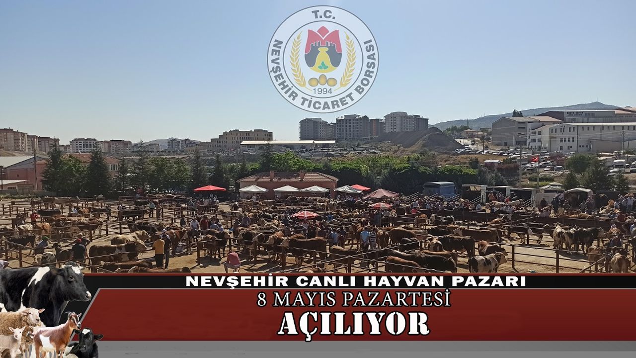 Nevşehir Canlı Hayvan Pazarı Açılıyor