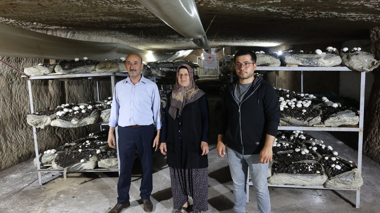Nevşehir'de KOP İle Doğal Mağarada Mantar Yetiştiriciliği Uygulandı