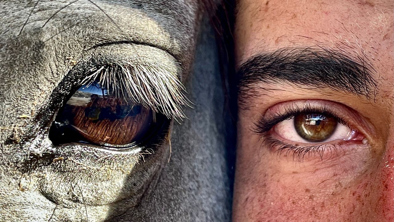 FotoMaraton Kapadokya Yarışmasının Sonuçları Belli Oldu
