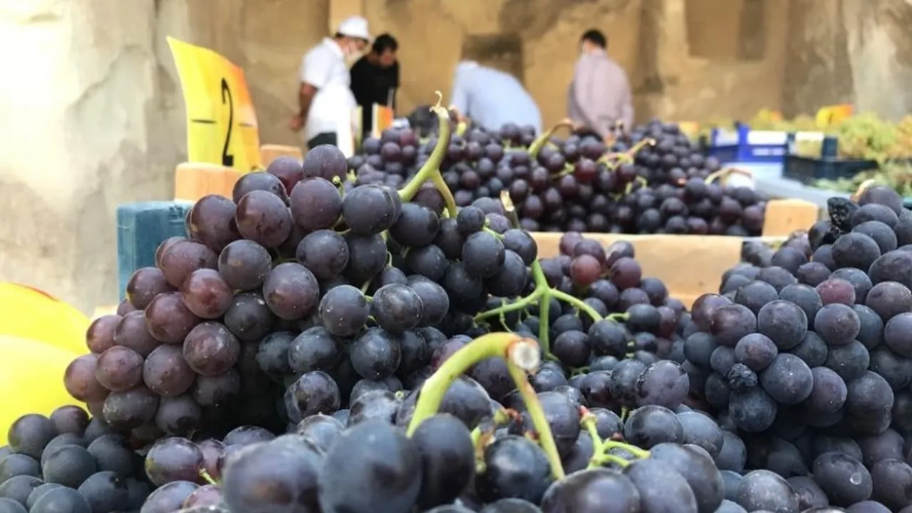 Nevşehir'de yaş üzüm 2023 fiyatı ne kadar olacak?