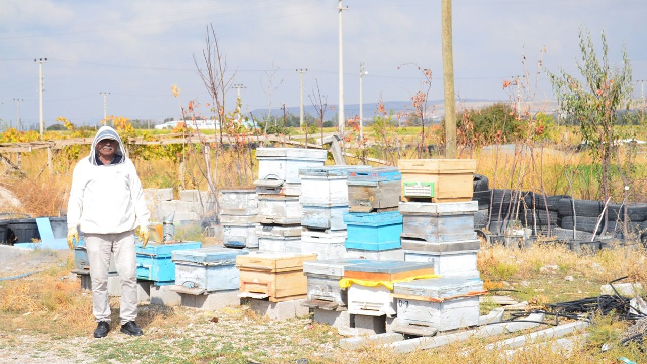 Aksaray'da çalınan arı kovanları Avanos'ta bulundu