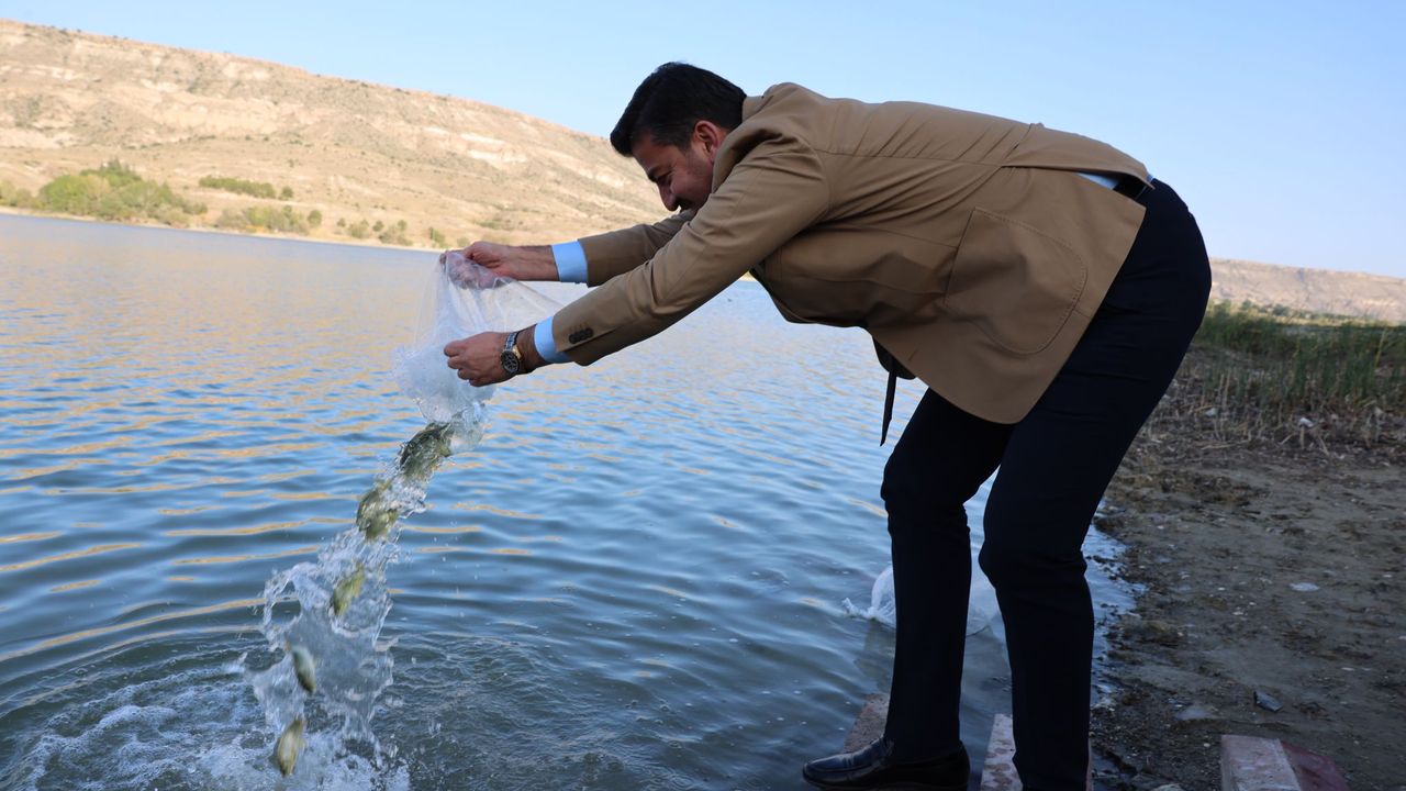 Ürgüp Damsa Barajı Göletine 350 Bin Yavru Balık Bırakıldı