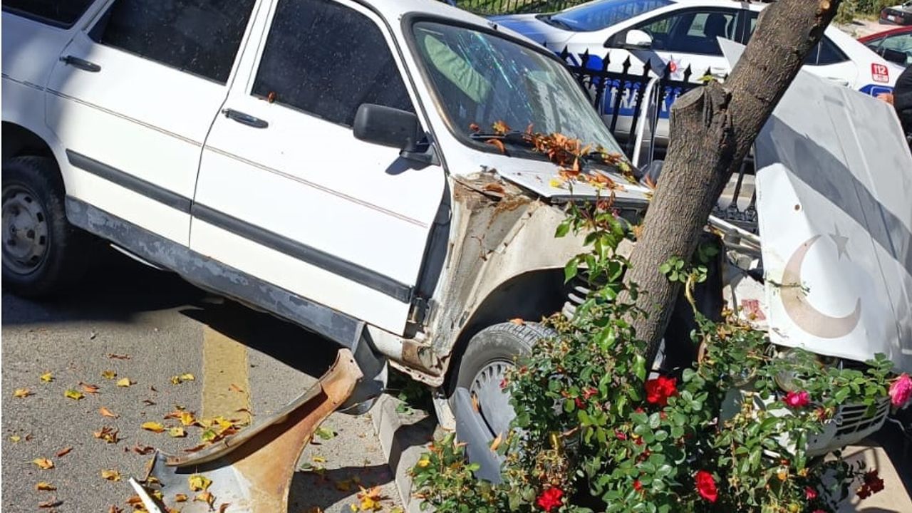 Nevşehir'de kaza; araç ağaca çarparak durabildi