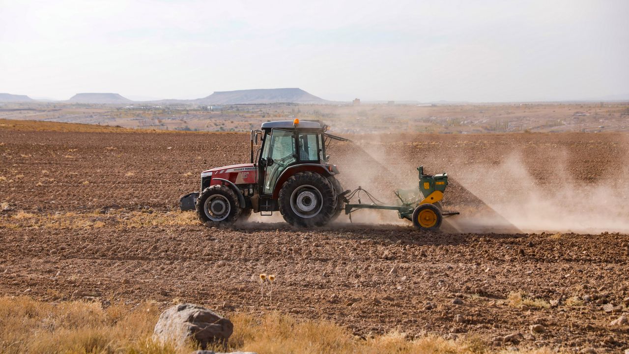 Nevşehir Belediyesi Yerli Tohum İle Buğday Ekimi Gerçekleştirdi