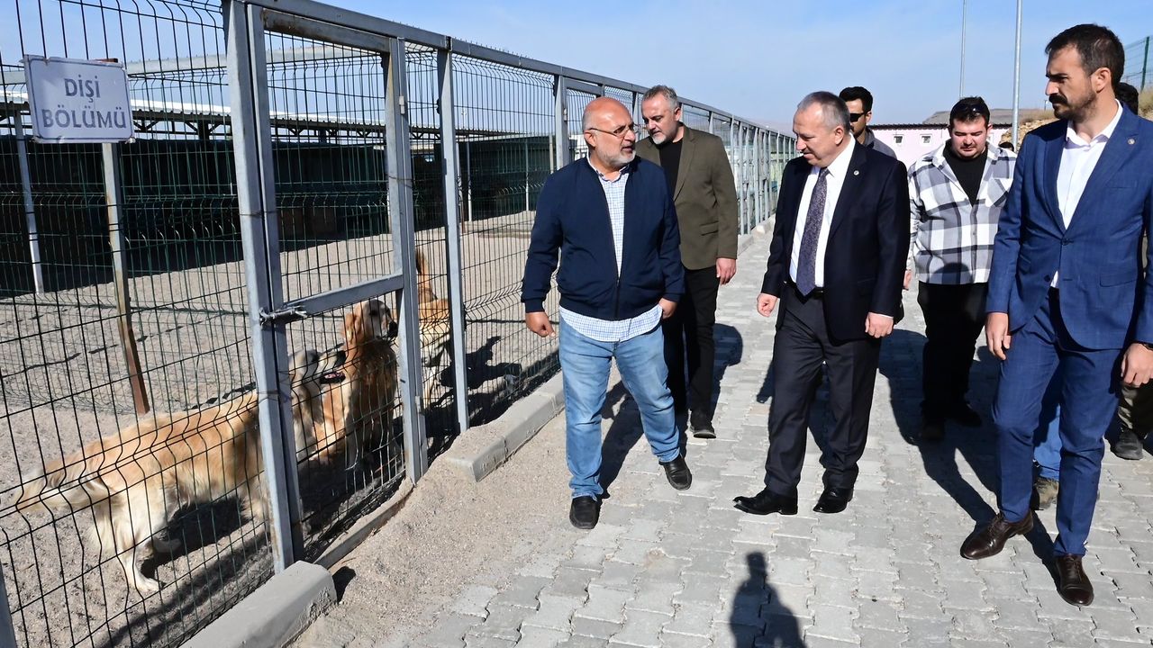 Nevşehir'de barınak 130 hayvana ev sahipliği yapıyor