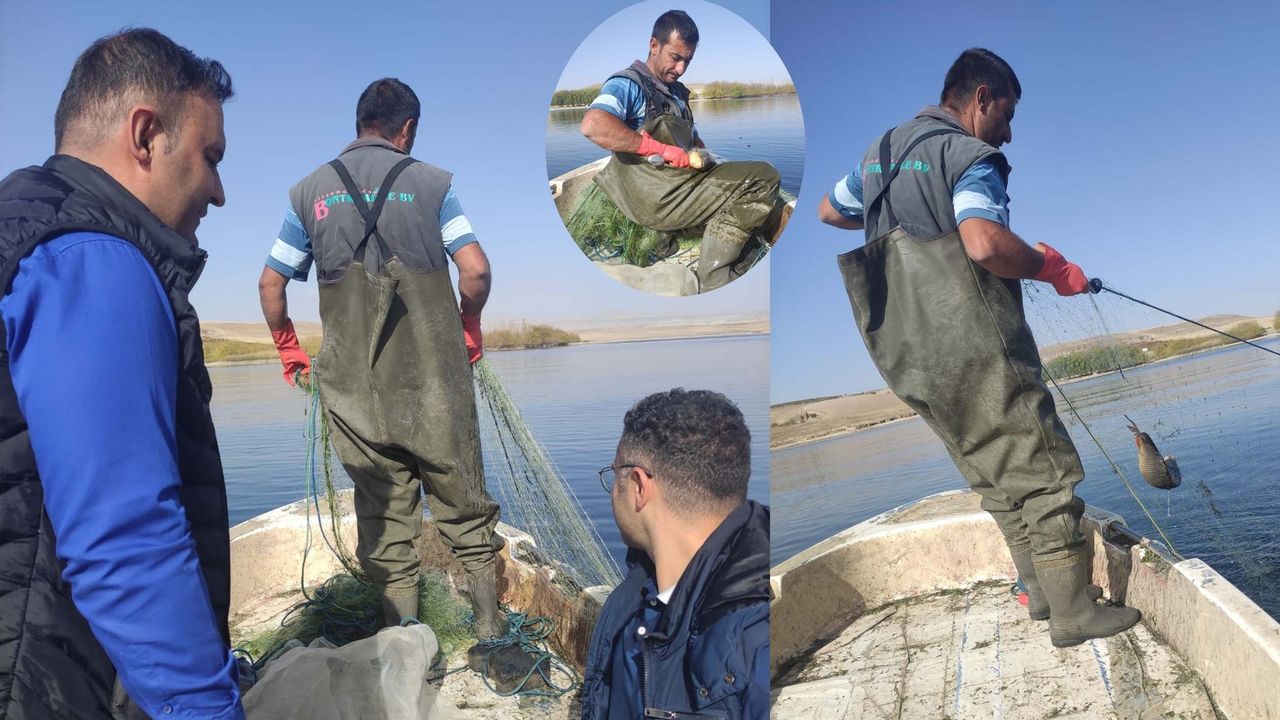 Bayramhacılı Barajı'nda balık stok tespiti yapıldı