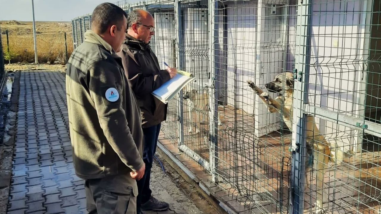 DKMP Nevşehir'de hayvan barınaklarını denetlendi