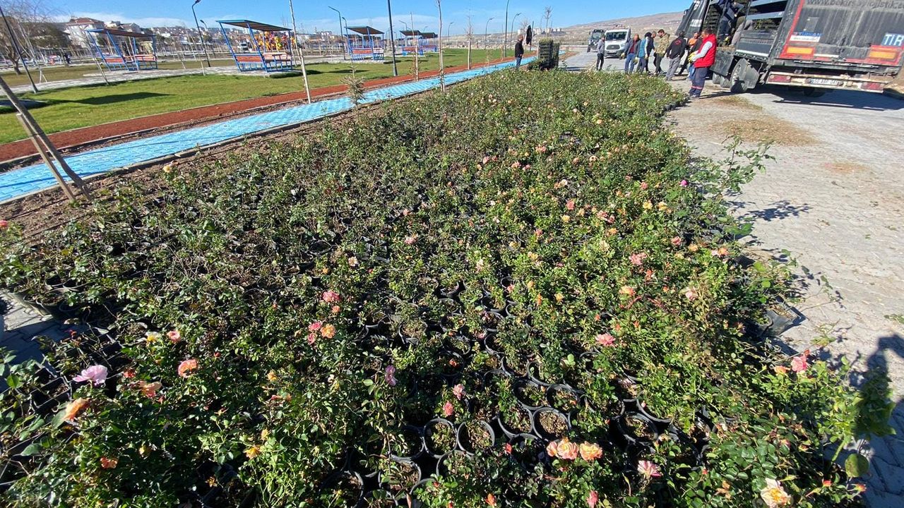 Gülşehir millet bahçesini 100 bin bitki süsleyecek