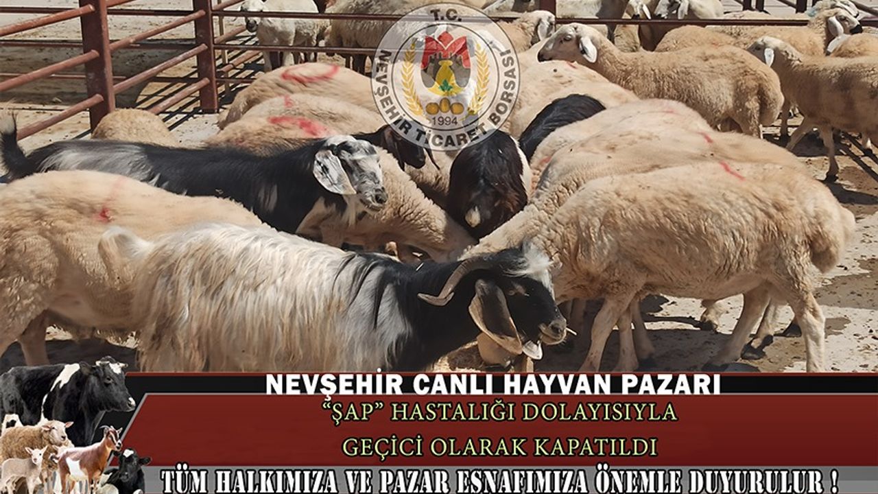 Nevşehir Hayvan Pazarı “ŞAP” nedeniyle kapatıldı!