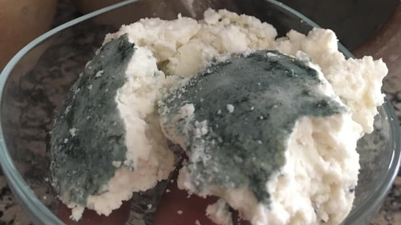 Nevşehir'in küflü çömlek peyniri doğal antibiyotik