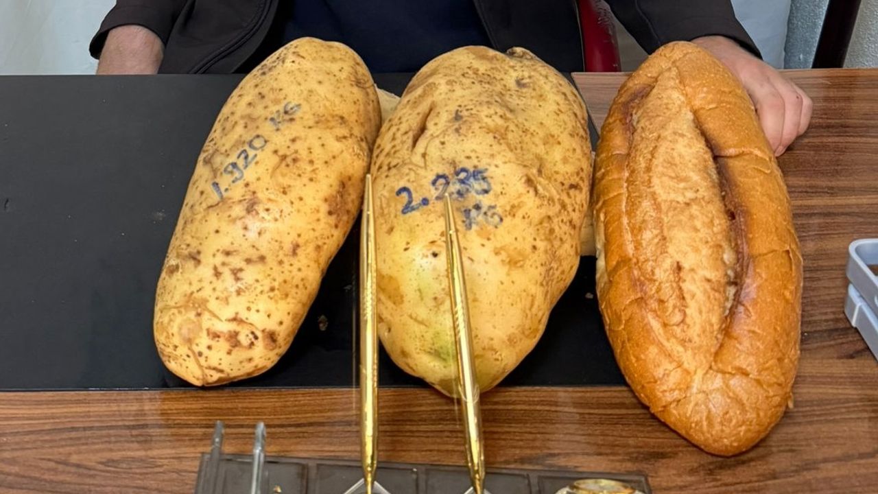 Nevşehirli Çiftçi Yetiştirdi, Türkiye Konuşuyor: 2,5 Kilo Patates!