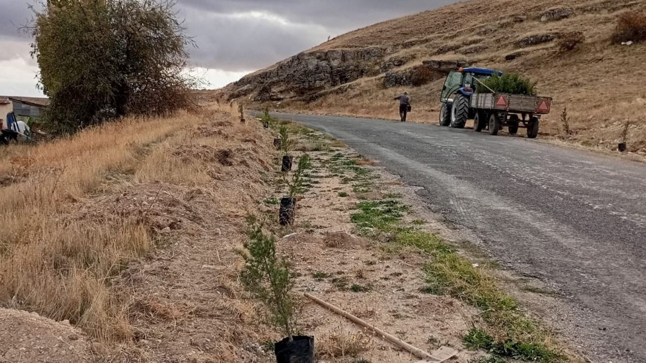 Kozaklı İmran Köyü’nde 200 Fidan Toprakla Buluştu