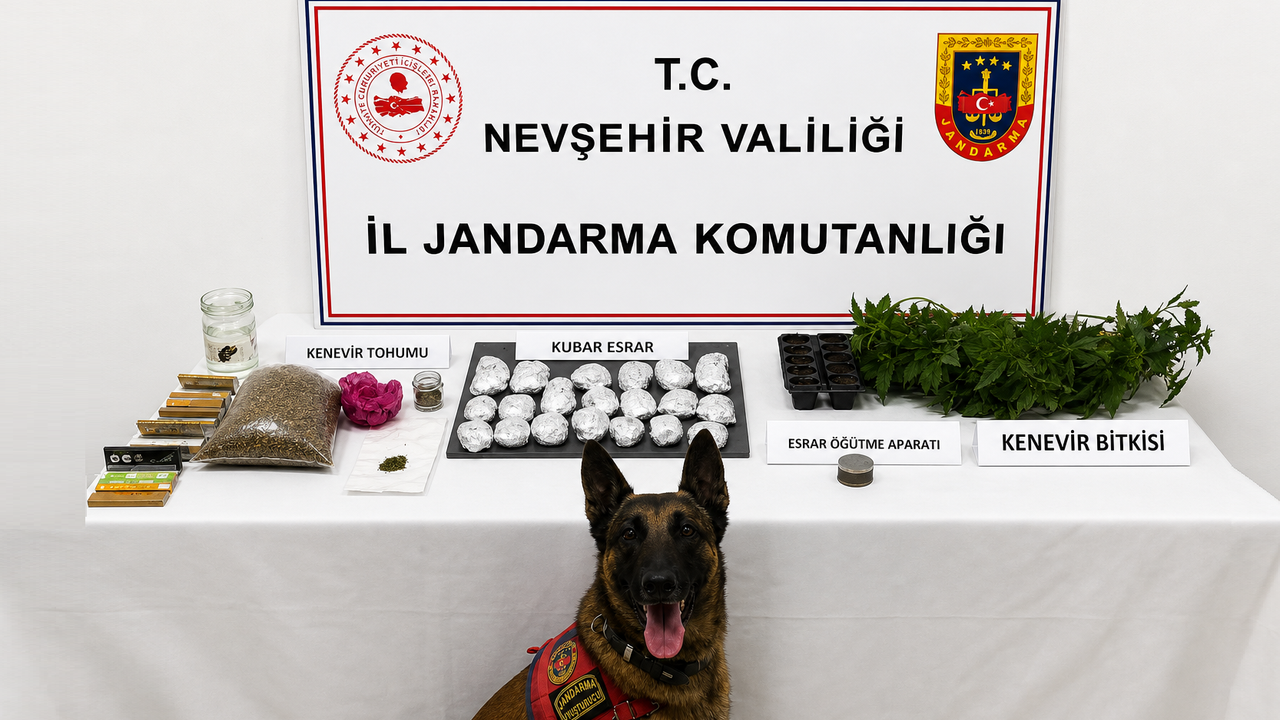 Nevşehir’de Jandarmadan Yasa Dışı Kenevir Ekimi Operasyonu