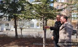 Başkanı Savran, 15 Temmuz Mahallesinde İncelemelerde Bulundu