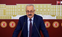 CHP'li Sarıaslan; 'Asgari ücretin altında emekli aylığı olur mu?'