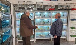 Nevşehir'de petshop denetimleri sürüyor