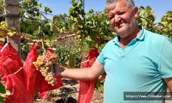 Nevşehir üzümünü Türkiye’ye tanıtıyor