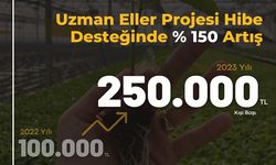 Uzman Eller Projesi Hibe Miktarında Büyük Artış 250 Bin Tl Oldu