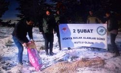 Su kuşları yemlendi, doğaya buğday ve mama bırakıldı