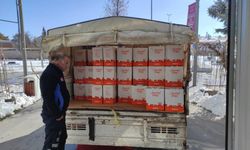 Yüreğinize sağlık Hızır Avusturya