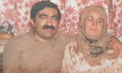 Nevşehir'in 100 yaşındaki asırlık çınarı hayatını kaybetti