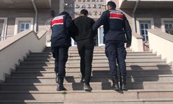 Nevşehir'de hırsızlık şüphelisi 1 kişi tutuklandı