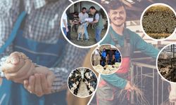 "Uzman Eller Projeleri" için başvurular başladı