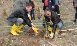 Nevşehir'de 'Deprem Şehitleri Ormanı' oluşturulacak