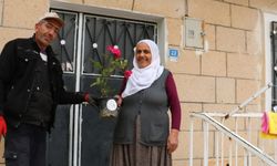 Uçhisar'da Anneler Günü Hediyesi Gül Fidesi Dağıtıldı