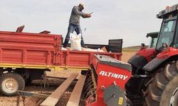 Hacıbektaş belediyesi nohut ekti