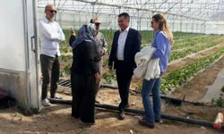 Memiş, Nevşehir'de yapılan 17 adet yeni seranın kontrollerini yaptı