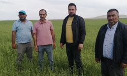 Nevşehir'de doludan etkilenen köylerde hasar tespiti yapıldı