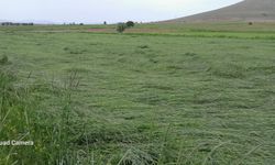 Nevşehir'in Til köyünde sel tarım arazilerine zarar verdi