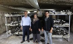 Nevşehir'de KOP İle Doğal Mağarada Mantar Yetiştiriciliği Uygulandı