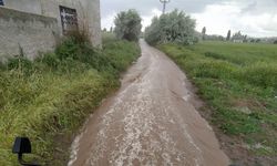 Nevşehir'in Karacaören köyünde sel tarım arazilerini vurdu