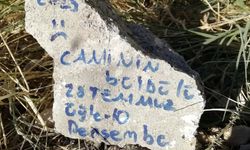 Nevşehir'de ölü buldukları kuşu gömüp mezar taşı yazdılar