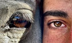 FotoMaraton Kapadokya Yarışmasının Sonuçları Belli Oldu