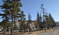 Nevşehir eski Nesteks arazisine 330 konut yapılıyor