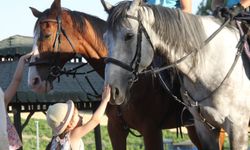 Nevşehir JAKEM'in Atları turizm bölgelerinde görev yapıyor