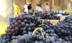 Nevşehir'de yaş üzüm 2023 fiyatı ne kadar olacak?