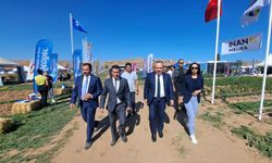 Nevşehir patates günleri fuarına 70 firma katıldı