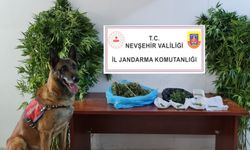 Nevşehir Jandarmadan Acıgöl'de uyuşturucu operasyonu