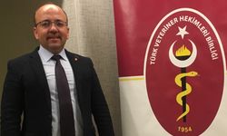 Nevşehir'de Veteriner Hekimler 'Sağlıkta Şiddete' Karşı İş Bıraktı